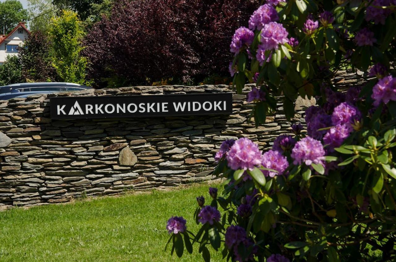 Karkonoskie Widoki Guest house